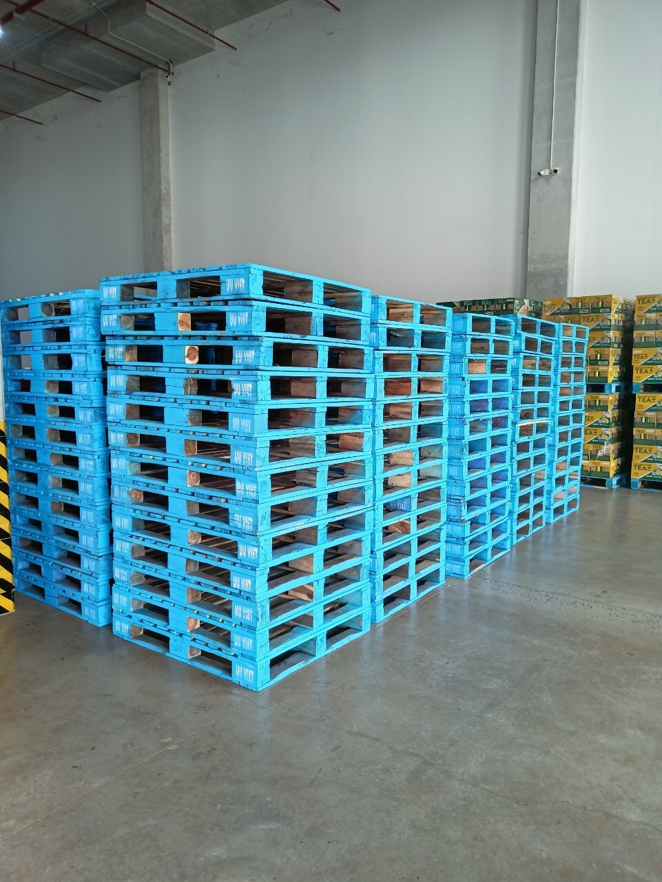 Pallet Cho Thuê
