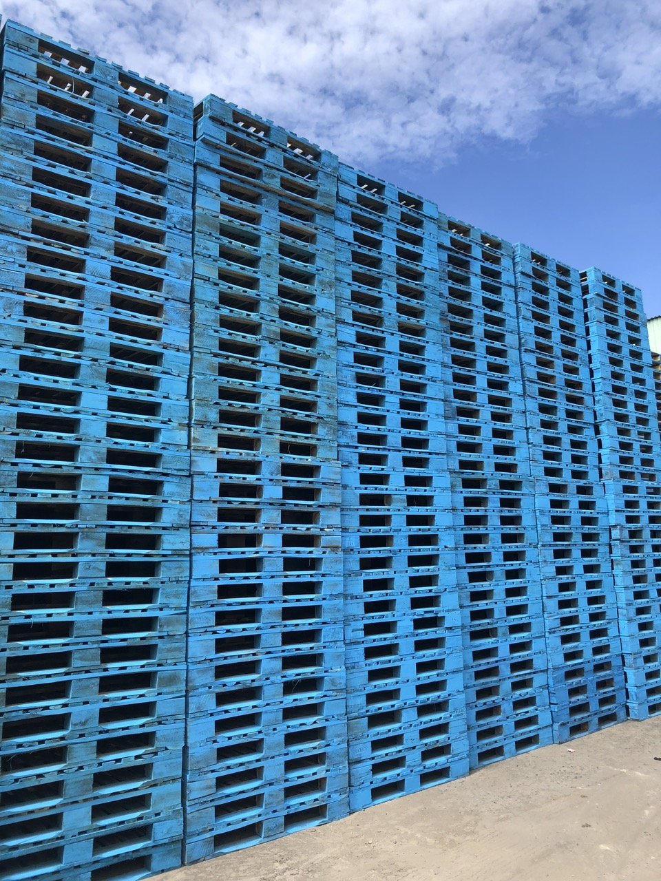 Pallet Cho Thuê