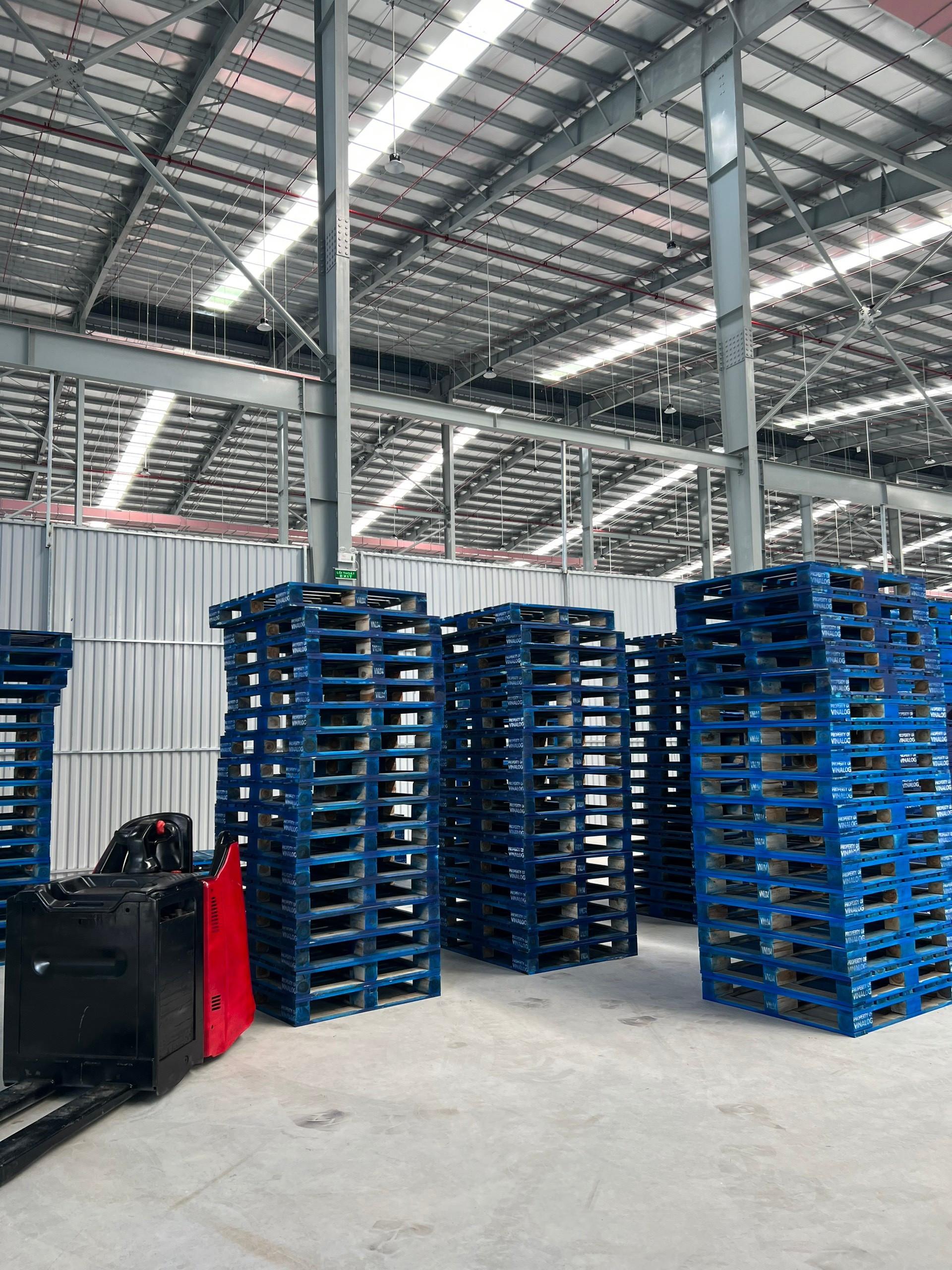 Pallet Cho Thuê