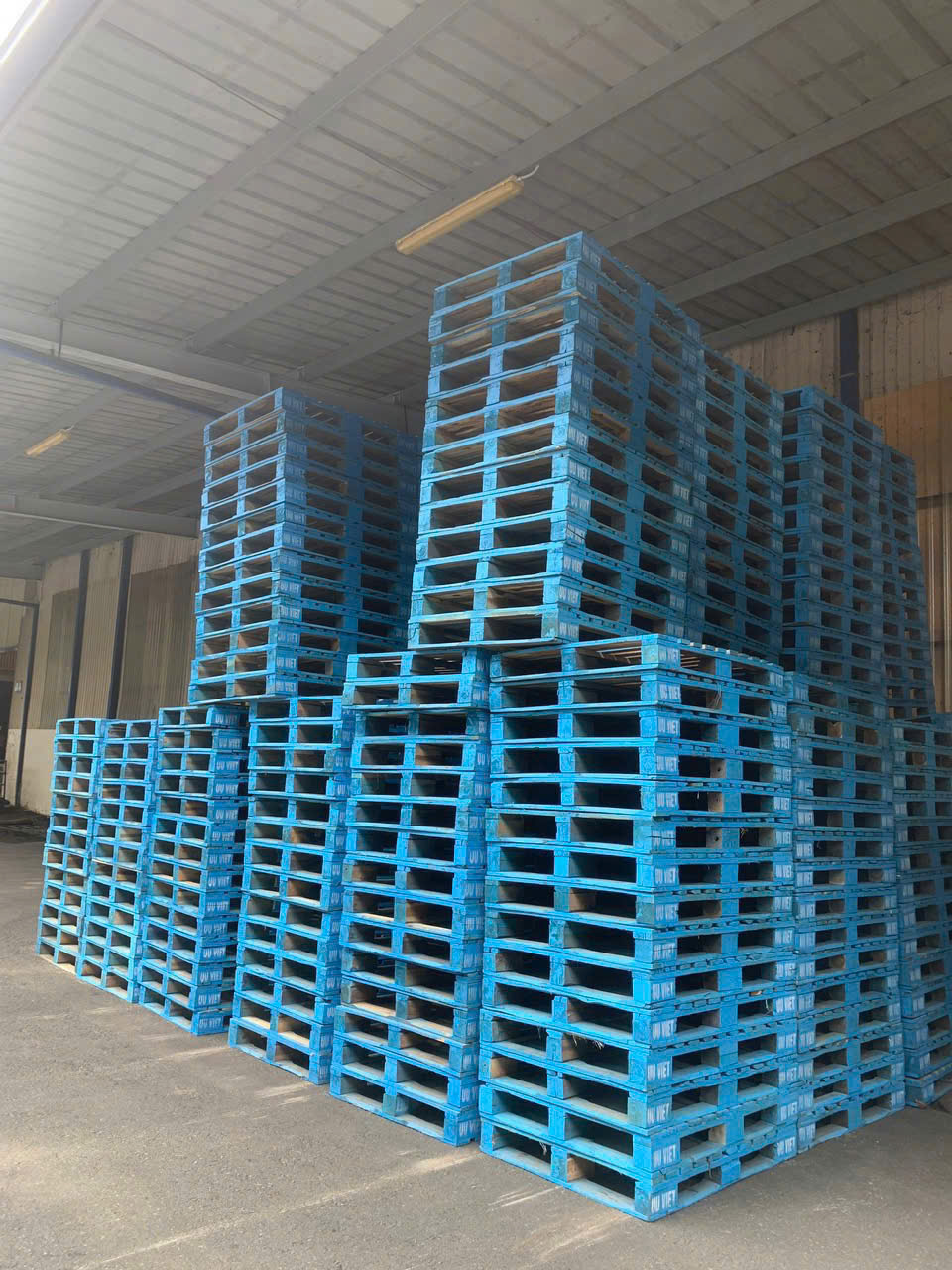 Pallet Cho Thuê