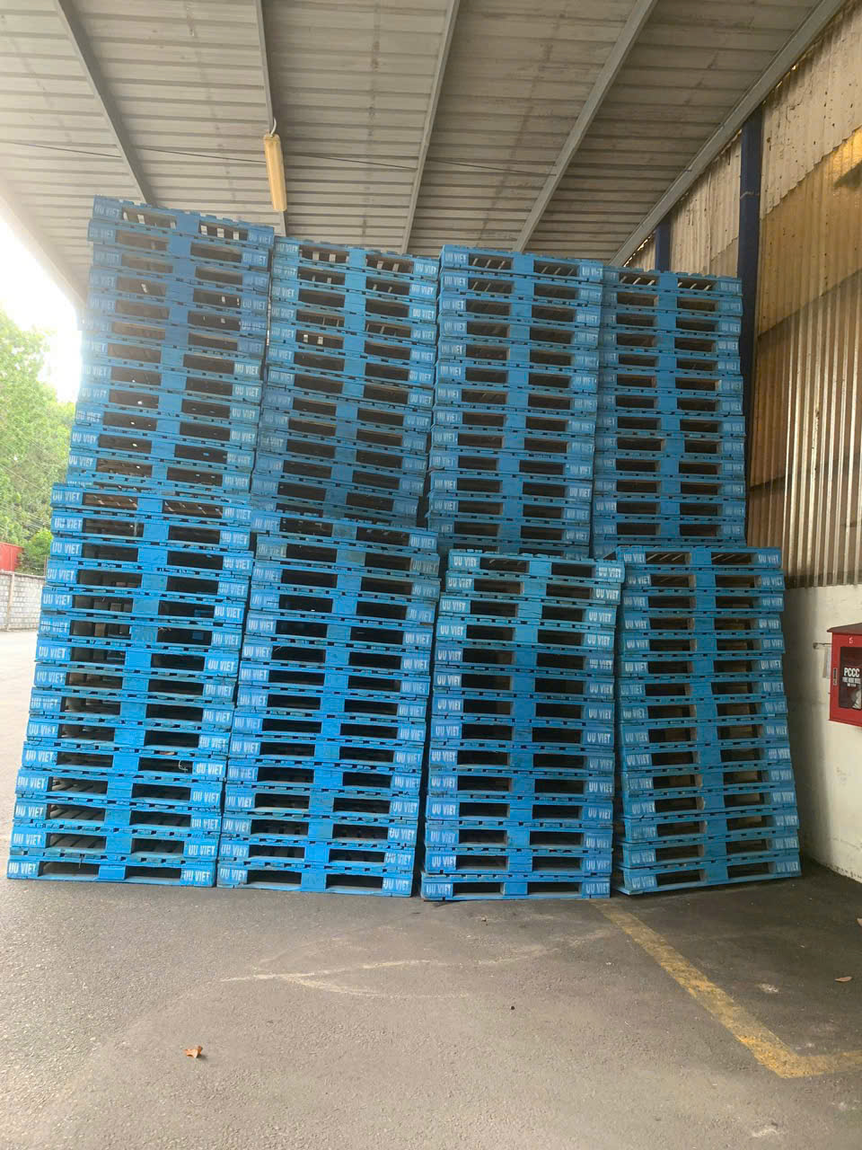 Pallet Cho Thuê