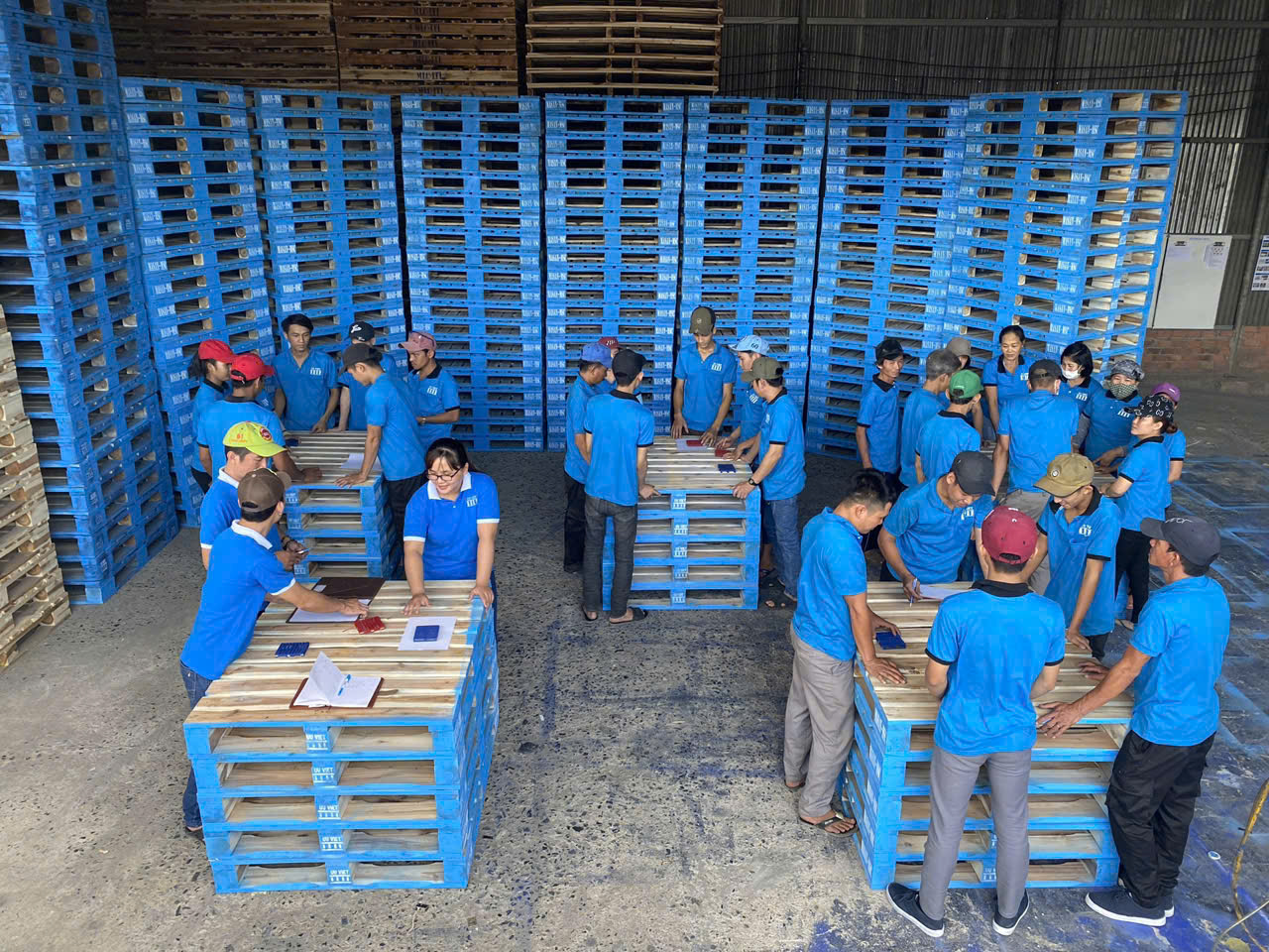 Giới thiệu Pallet Gỗ Ưu Việt