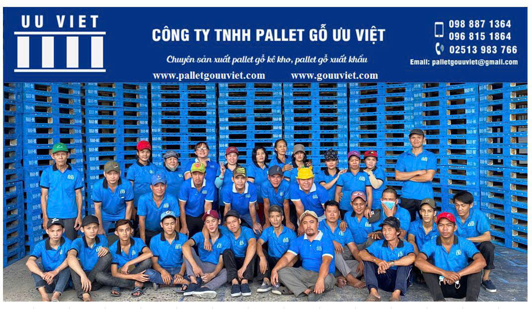 Giới thiệu Pallet Gỗ Ưu Việt