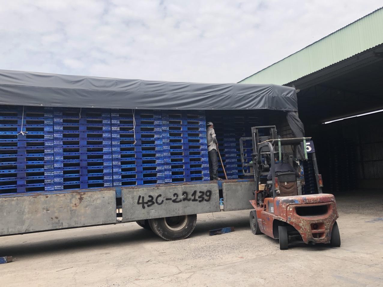 Kho pallet gỗ và nhà máy sản xuất Ưu Việt tại Đồng Nai