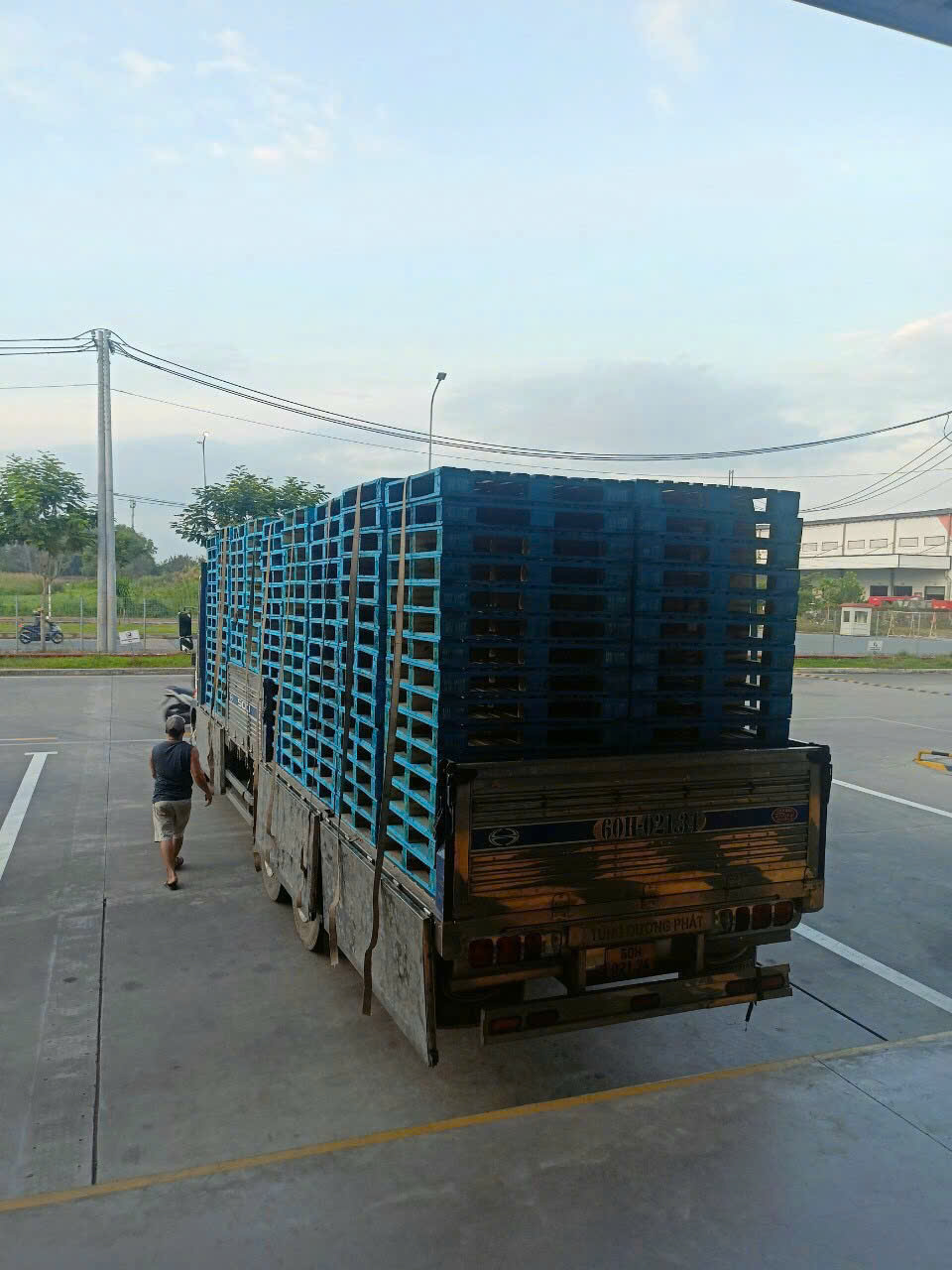 Kho pallet gỗ và nhà máy sản xuất Ưu Việt tại Đồng Nai
