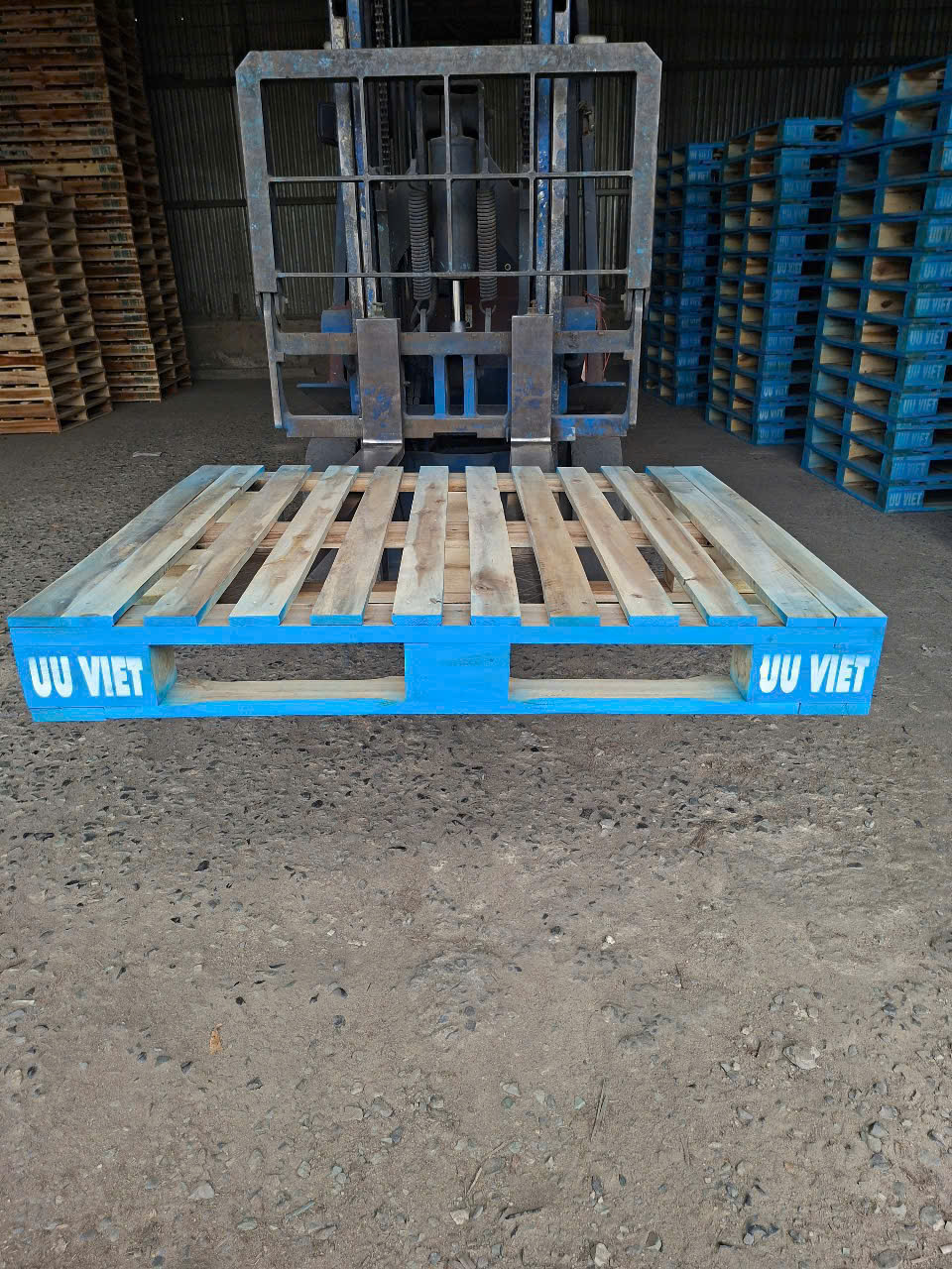 Cho thuê pallet xanh navy